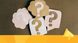 Surveys and questions