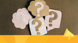 Surveys and questions