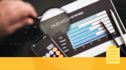 A person reviewing sales reports to decide on scalability of their journal.